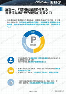 2017中国智慧停车行业大数据报告 数据驱动的停车革新